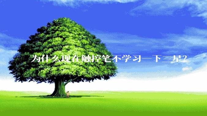 为什么现在触控笔不学习一下三星？