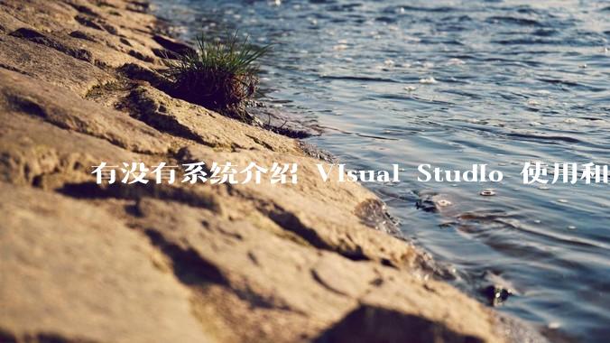 有没有系统介绍 Visual Studio 使用和技巧的书籍？